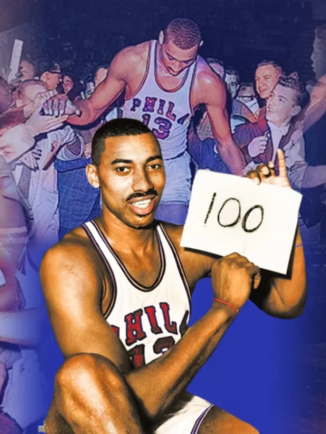 cropped-wilt.webp
